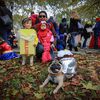 Where And When To See All The Halloween Dogs